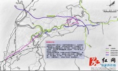 桑植以后发展就靠它了,10年后桑植你绝对想不到是什么样子