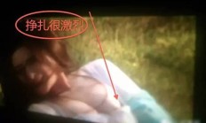 试衣间算啥！来看看范冰冰黎明爆乳玩“马震”