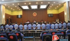 桑植县法院公开审理一刑案 被告人多达16人
