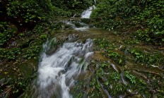 深在闺中人不识　桑植县峰峦溪风景区有望得到深度良好开发