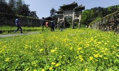 永顺县50多万人共庆老司城遗址入列世界文化遗产-土家族人的盛会