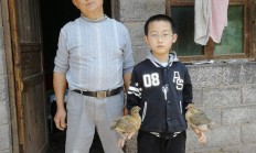 五一玩小鸡
